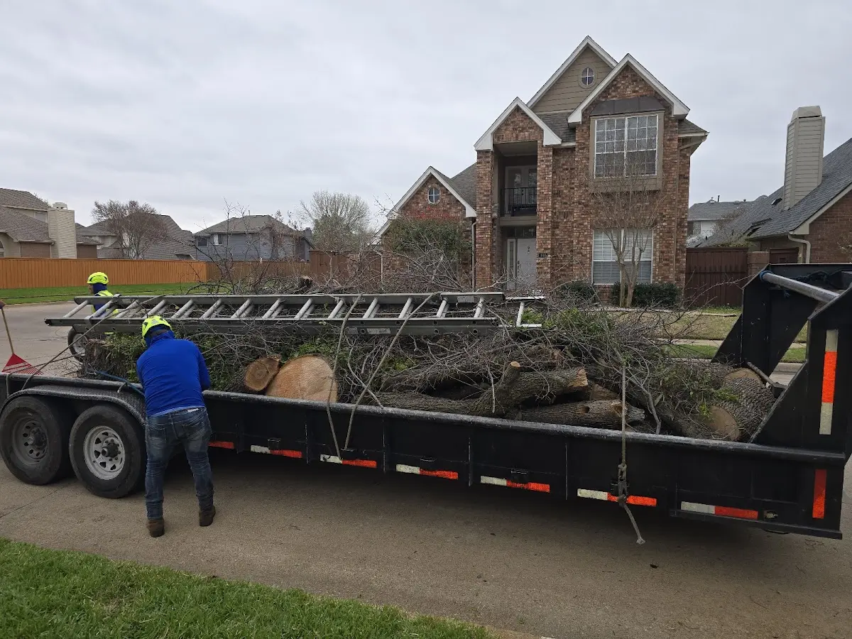 Expert Tree Pest Control with proper safety equipment in Mineral Ridge